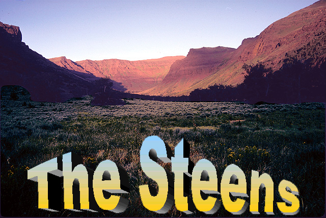 The Steens